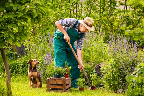 Ein Mann mit Hut verrichtet Gartenarbeit.